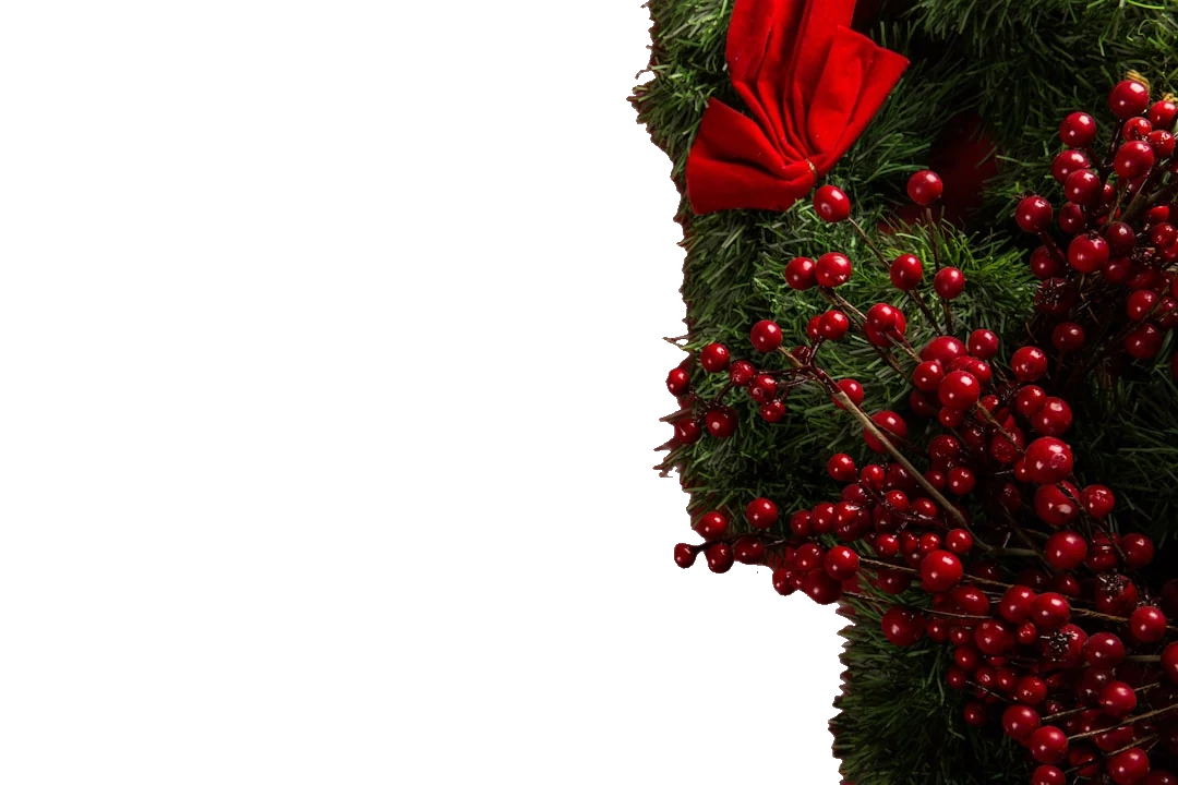 After: Christmas with background removed