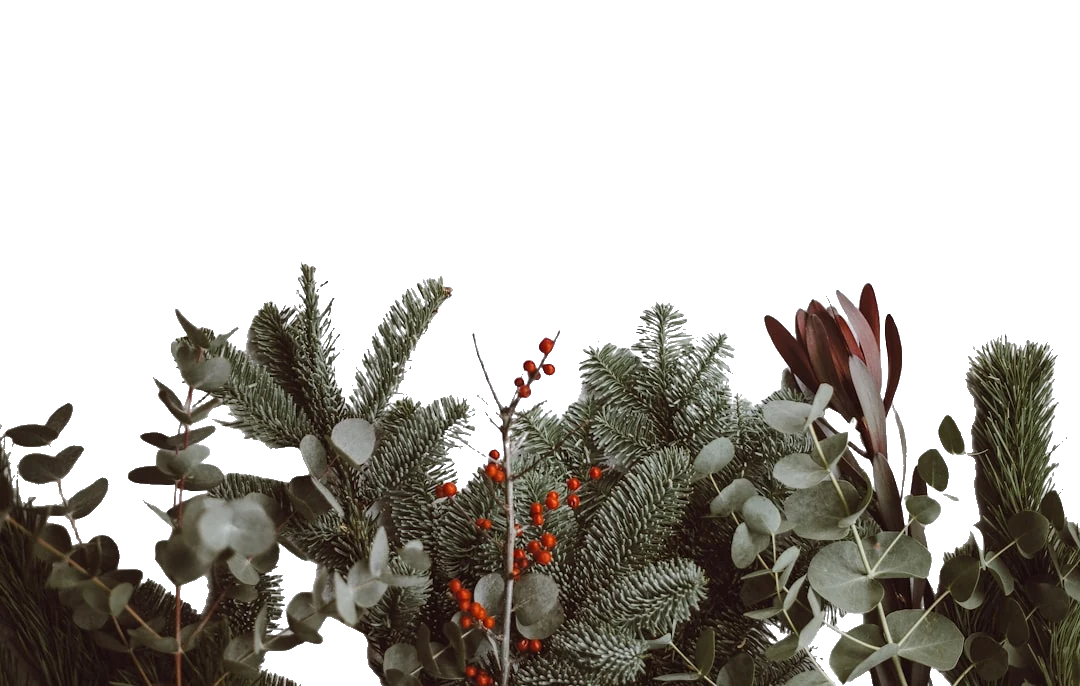 After: Christmas with background removed