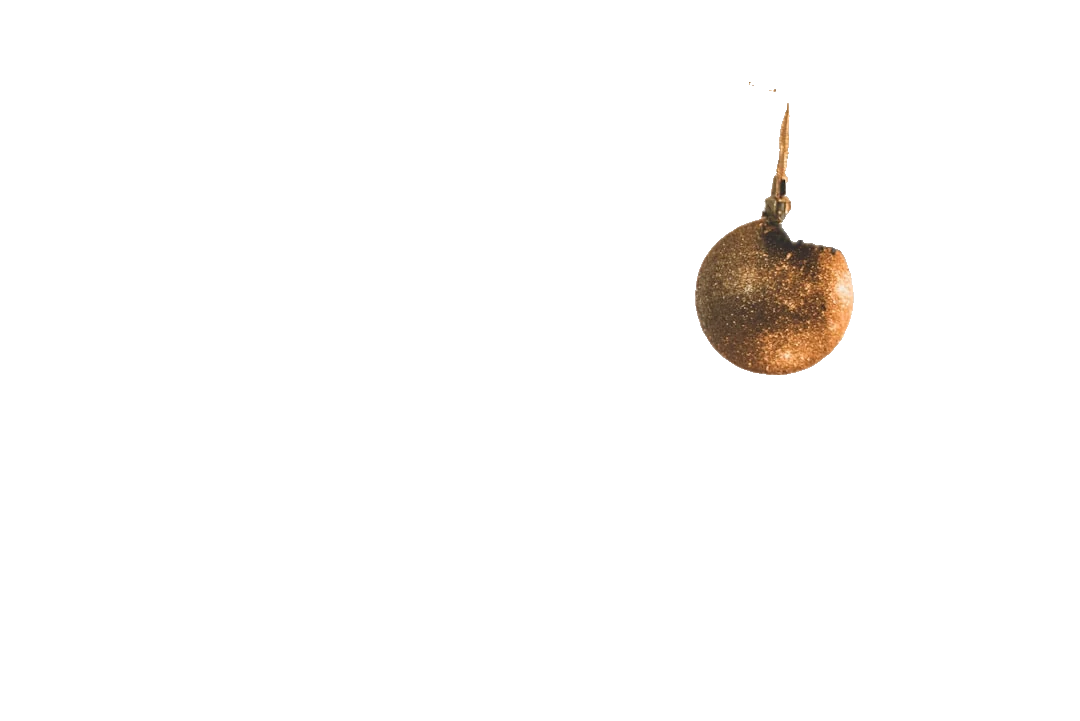 After: Christmas with background removed