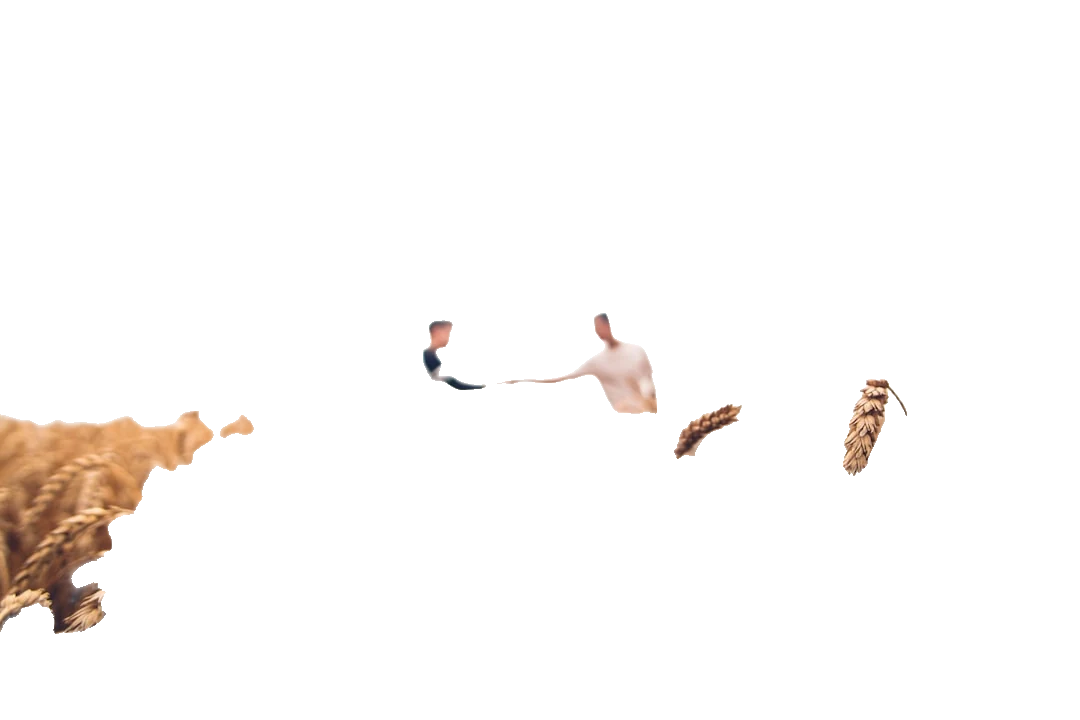 Farmers background removed