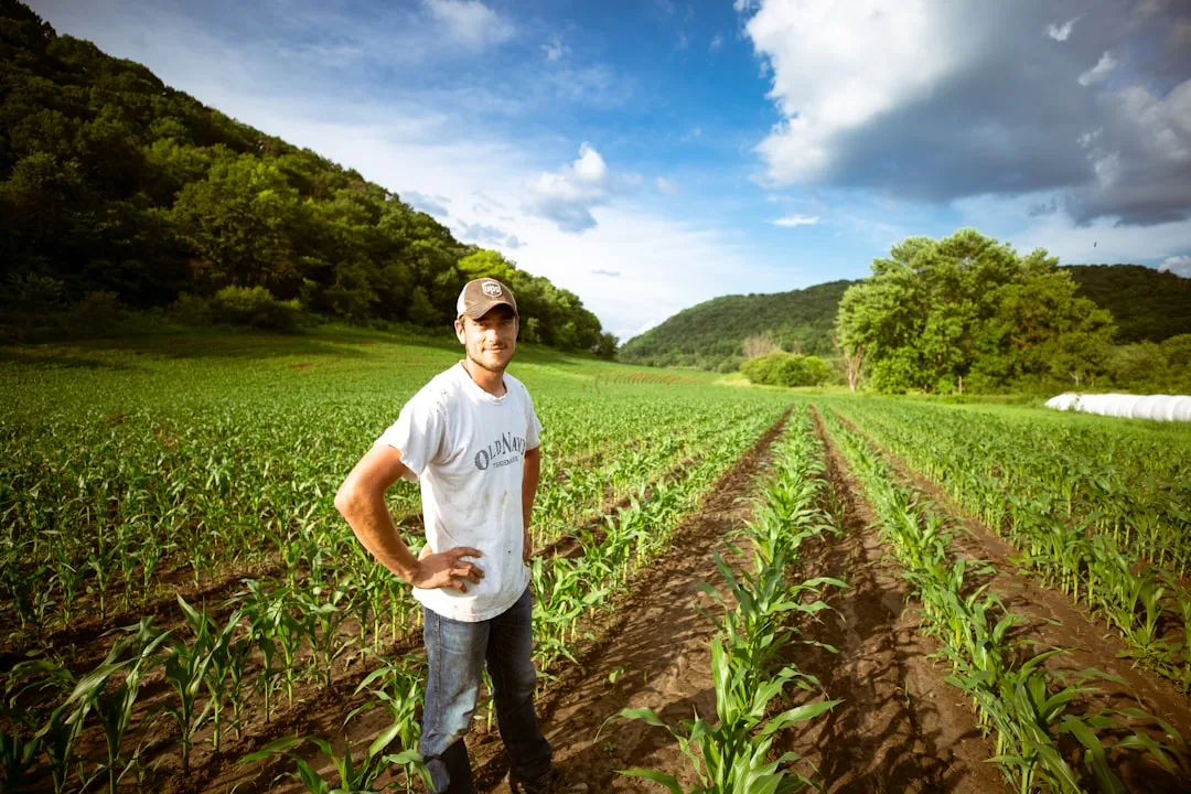 Before: Farmers example