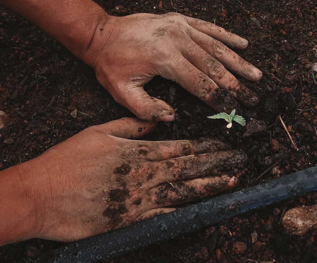 Before: Farmers example