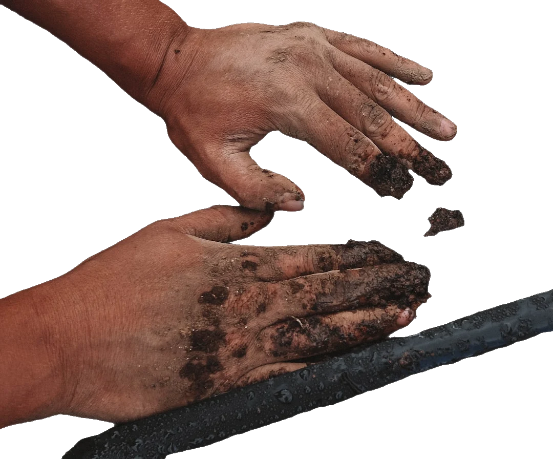 After: Farmers with background removed
