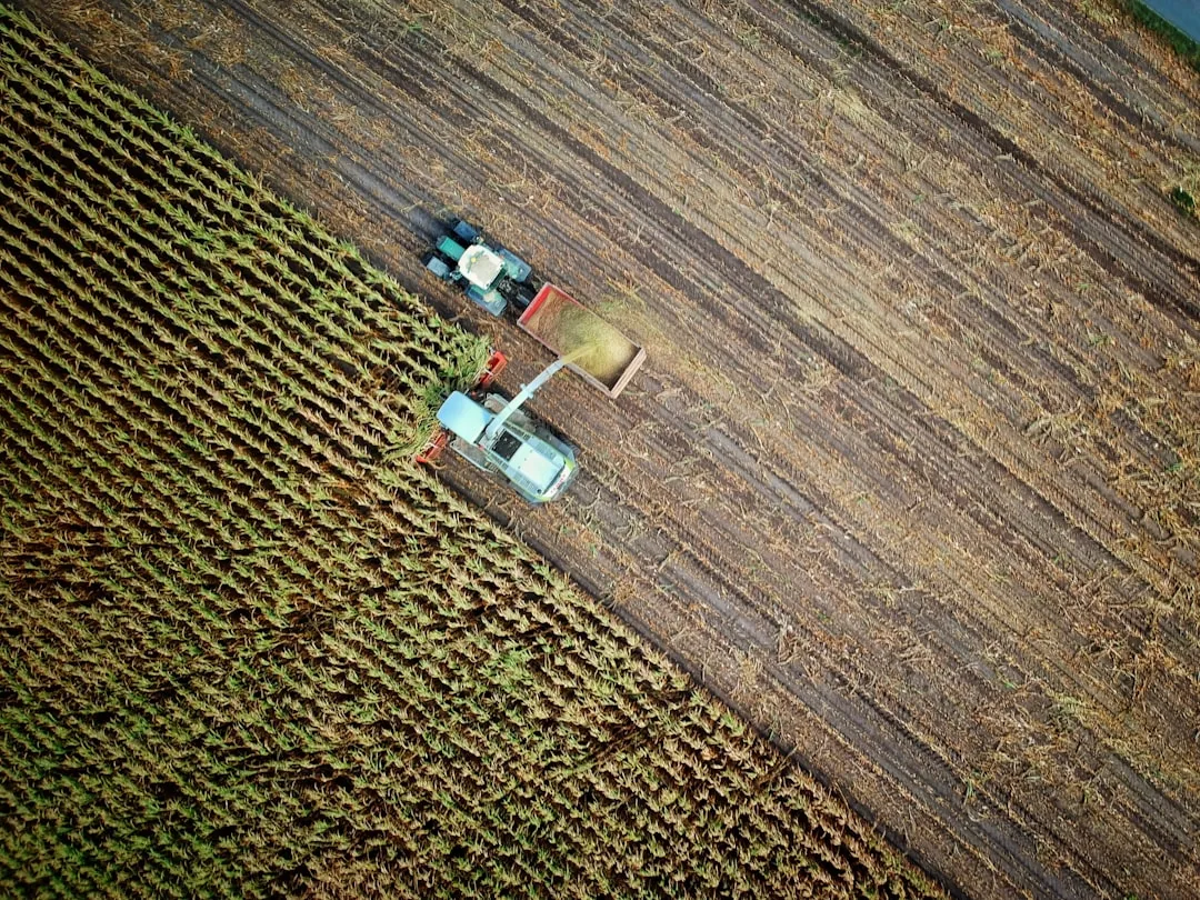 Before: Farmers example