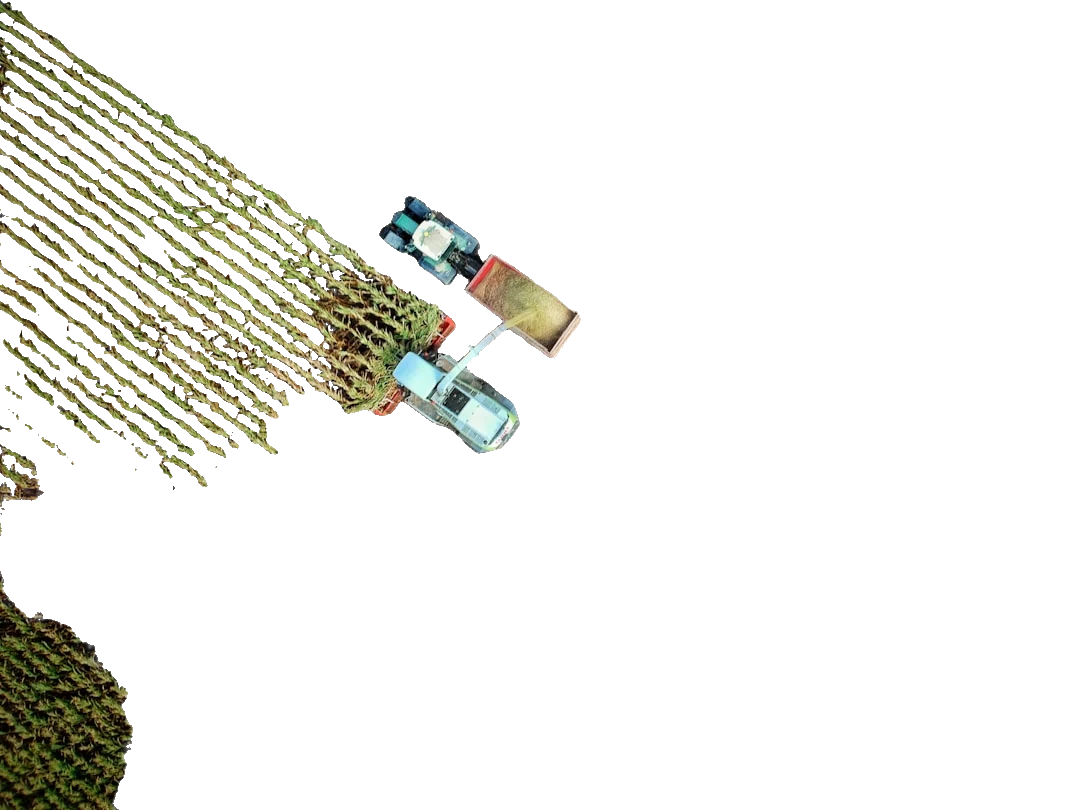 After: Farmers with background removed